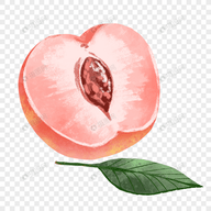 WWW,254se·COM网站APPAPP应用